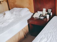 -印象高密·凤都国际大酒店