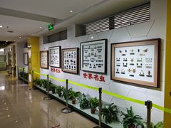 -上海昆虫博物馆