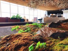 -Seesaw Coffee(朝阳大悦城店)