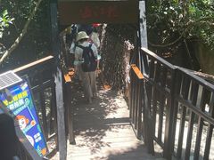 -亚龙湾热带天堂森林公园