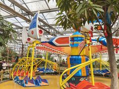 -南宫五洲植物乐园