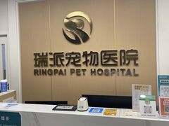 -瑞派康怡24h宠物医院·犬猫医疗中心·微创绝育(瑞景分院)