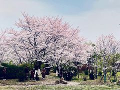 -堤角公园