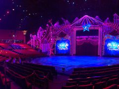 -珠海横琴长隆《卡卡虎奇遇记》