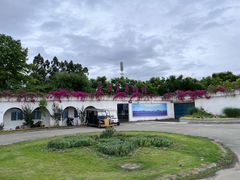 -紫颐香薰山谷景区