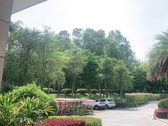 -福建鲤鱼洲酒店