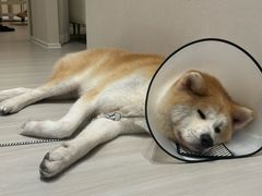 -YCHL Studios健身工作室(市二宫店)