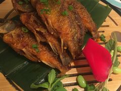 -老湘亲·品鉴湘菜(湖里店)