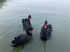 -天津东丽湖风景区