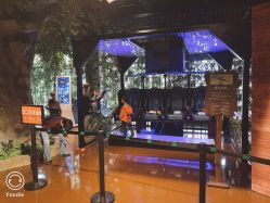 -奇幻丛林(佛罗伦萨小镇店)