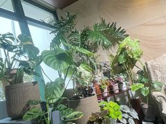 -棕榈岛海鲜自助餐厅(虹桥迎宾馆店)
