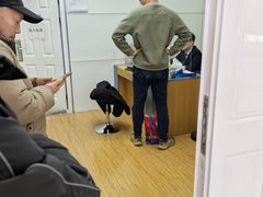 -中国移动通信集团上海有限公司