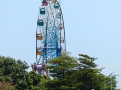 -巨鹏飞梦幻海岸