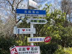 -三塔倒影公园