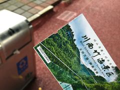 -川西竹海景区