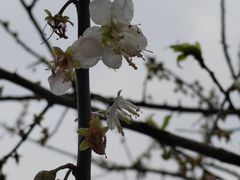 -广州市流溪河国家森林公园