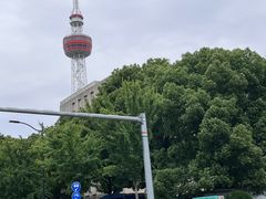 -上海醉白池公园