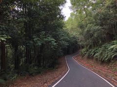 -滴水岩森林公园