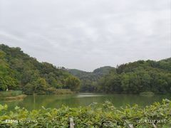 -中山市树木园