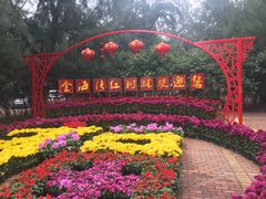 -北海金海湾红树林生态旅游区