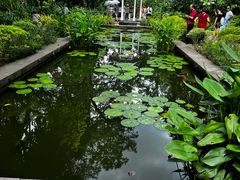 -新加坡总统府