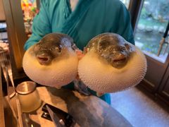 -永安鱼庄·镇江菜(东吴路店)