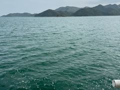 -深圳湾公园(南山区)