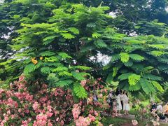 -中国科学院西双版纳热带植物园