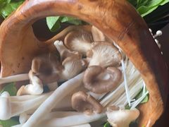 -捞王猪肚鸡火锅(昆山店)