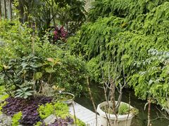 -凤来栖·净庭院·火锅(欧尚店)