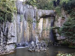 -西双版纳原始森林公园