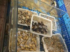 -小时候焗海鲜(鄞州万达店)