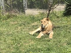 -西安秦岭野生动物园