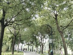 -海珠湖公园