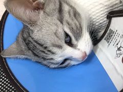 -联合动物医院(光谷诊疗中心)