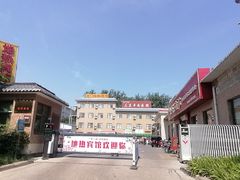 -龙门李家三旦羊肉汤馆