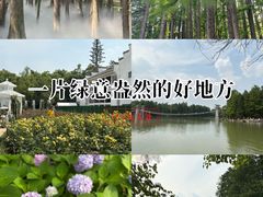 -东湖落雁景区