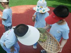 -胡姬港湾幼儿园(龙华丰谷园)