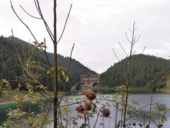 -武陵山森林公园