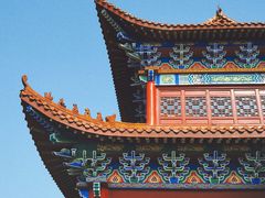 -长沙黑麋峰国家森林公园