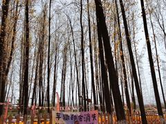 -林间山庄