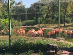 -石家庄市动物园