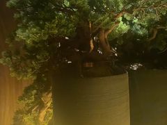 -江南足纪·影院足道·轻奢SPA(笋岗HALO广场店)