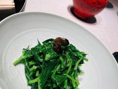 -子福慧(虹桥店)