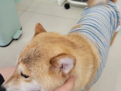 -怪兽屋·羊驼·猫咖·狗咖(俊华广场店)