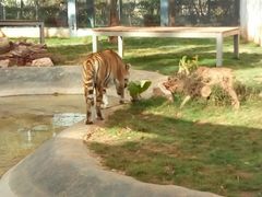 -昆明动物园