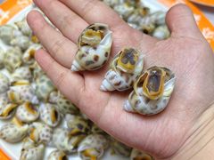 -粤盛海鲜平价店(洛溪食街店)