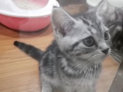 -龟与熊猫宠物公园(南坪店)