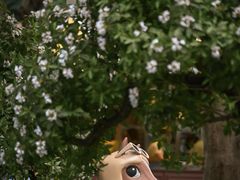 -深圳湾万象城(南山店)