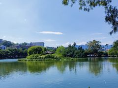 -西湖公园(鼓楼区)